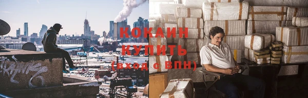 спайс Алзамай