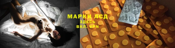 спайс Алзамай