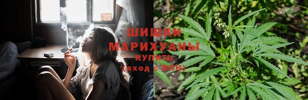 спайс Алзамай